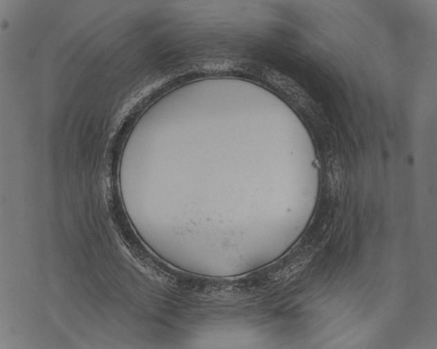 X0000073950728200609181400