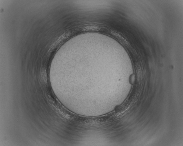 X0000073950729200609181400