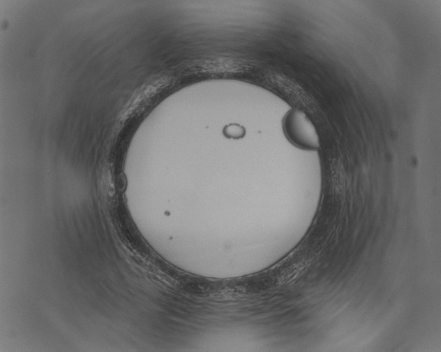 X0000073950731200609181400