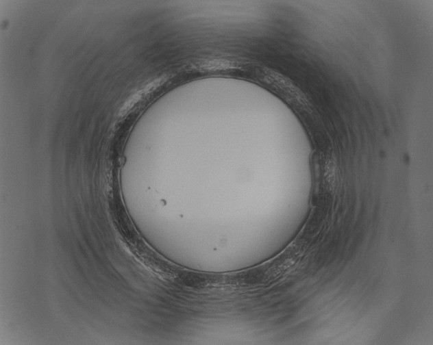 X0000073950732200609181400