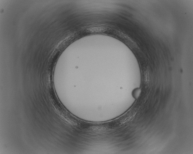 X0000073950733200609181400