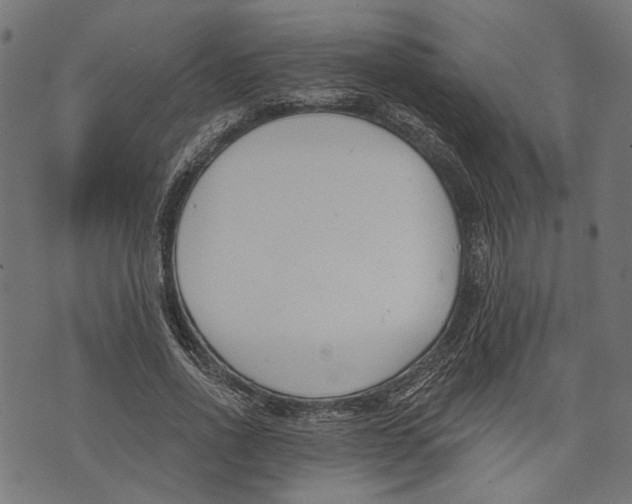 X0000073950734200609181400