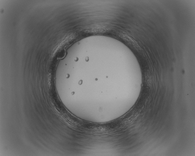 X0000073950735200609181400