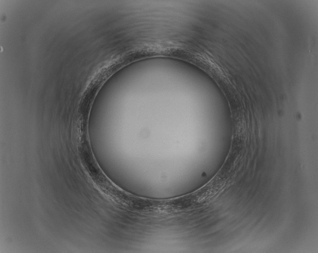 X0000073950736200609181400