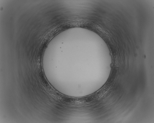 X0000073950737200609181400