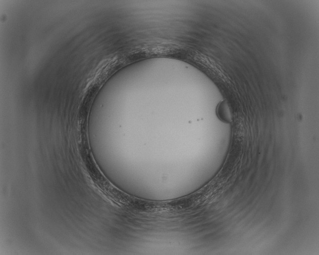 X0000073950738200609181400