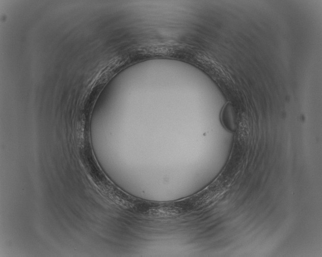 X0000073950739200609181400