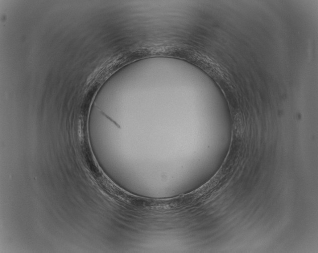 X0000073950740200609181400