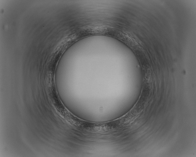 X0000073950744200609181400