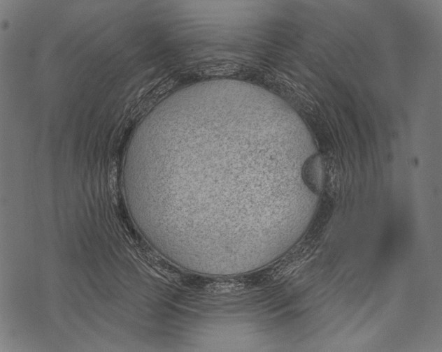 X0000073950745200609181400