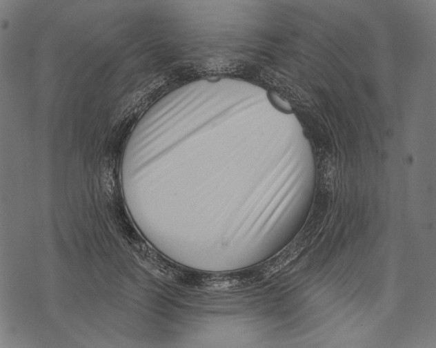 X0000073950746200609181401