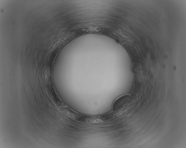 X0000073950747200609181401