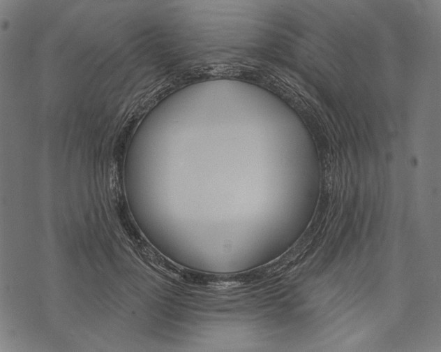 X0000073950748200609181401