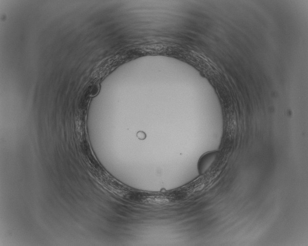 X0000073950749200609181401