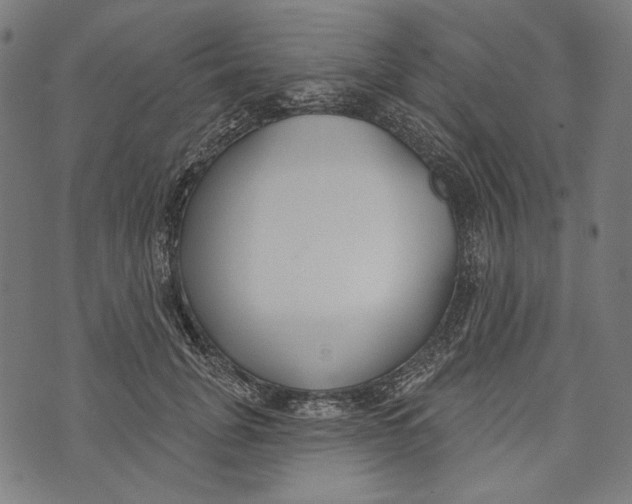 X0000073950751200609181401