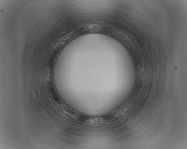 X0000073950752200609181401