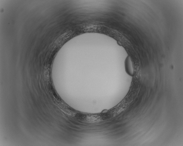 X0000073950753200609181401