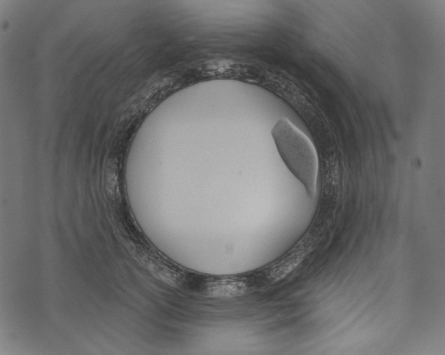 X0000073950754200609181401