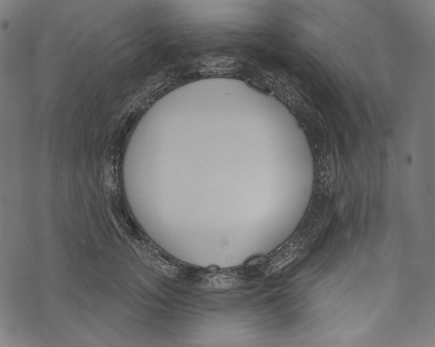 X0000073950755200609181401