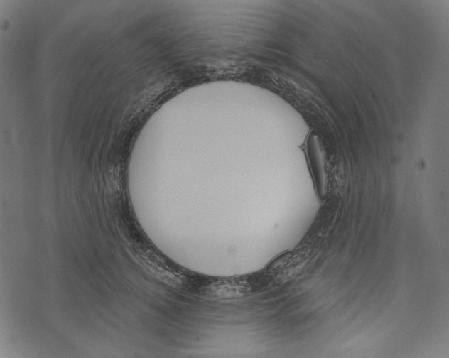 X0000073950756200609181401