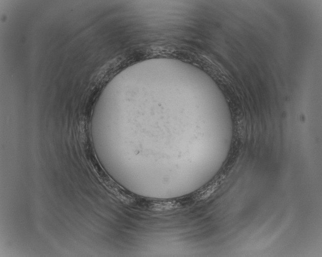 X0000073950757200609181401