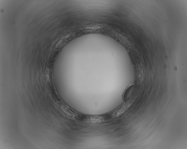 X0000073950758200609181401