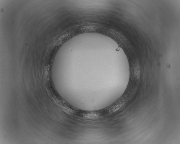 X0000073950759200609181401