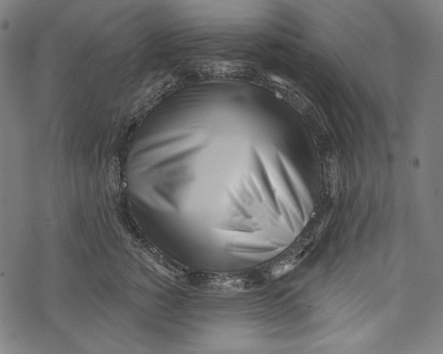 X0000073950760200609181401