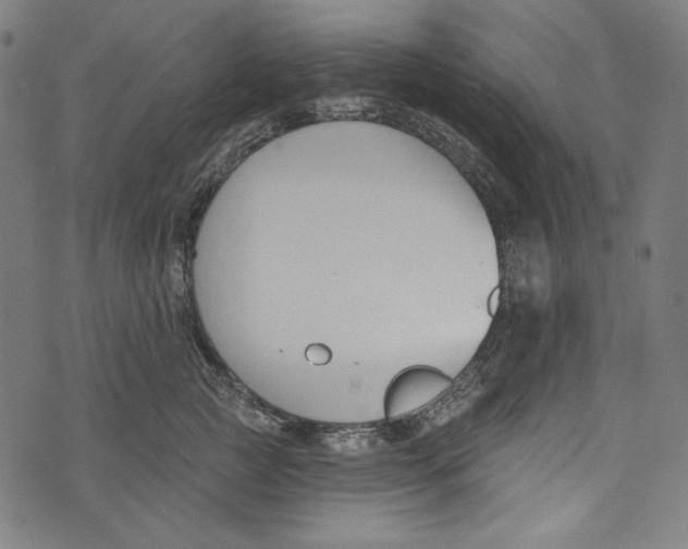 X0000073950761200609181401