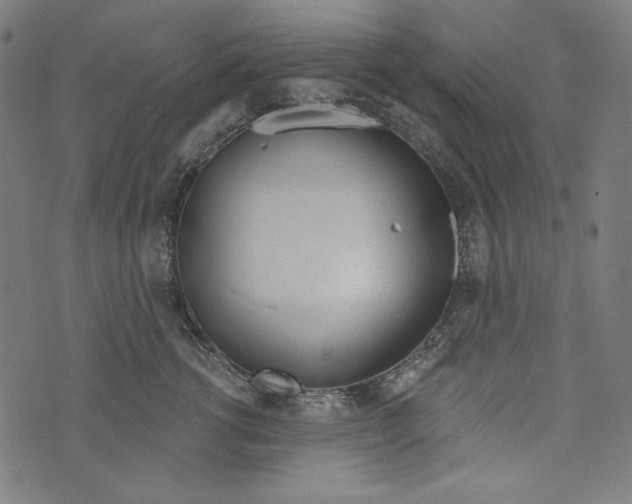 X0000073950762200609181401