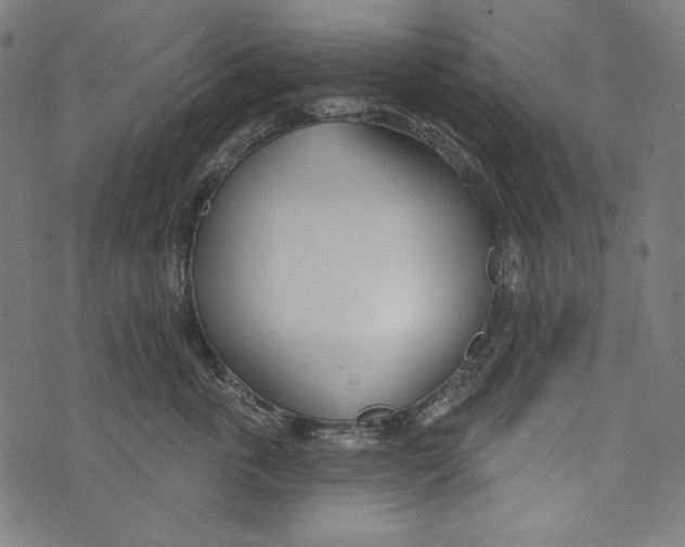 X0000073950763200609181401