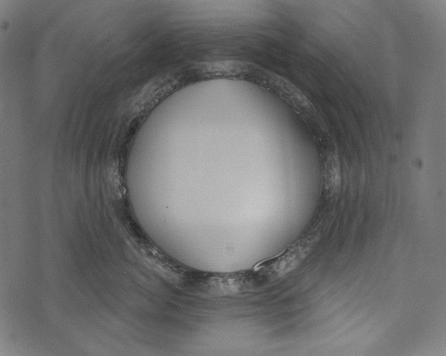 X0000073950764200609181401