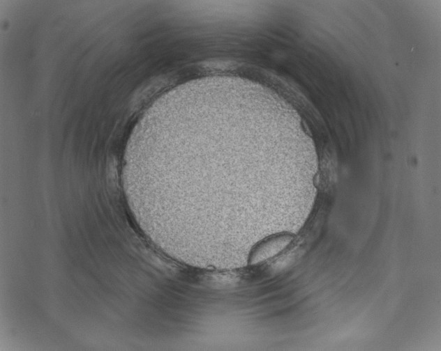 X0000073950765200609181401