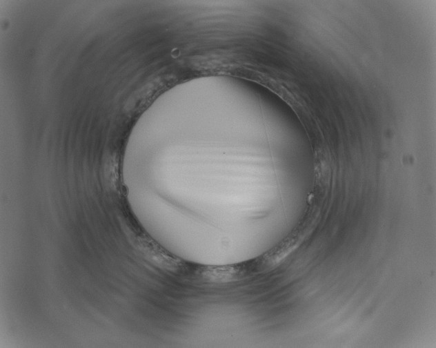 X0000073950767200609181401