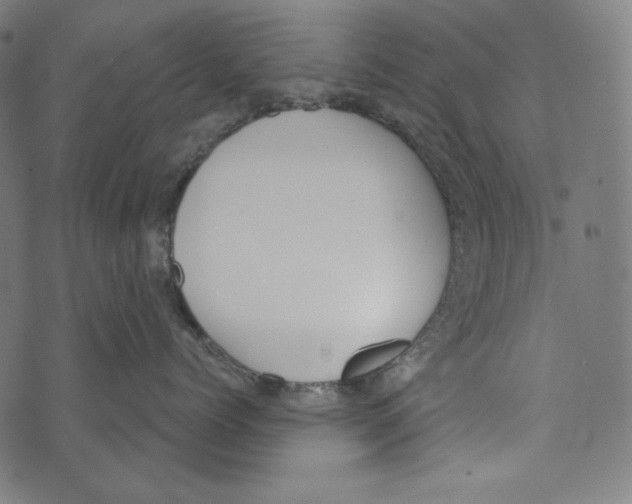 X0000073950768200609181401