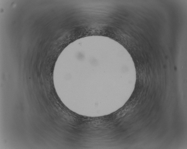 X0000073950769200609181400