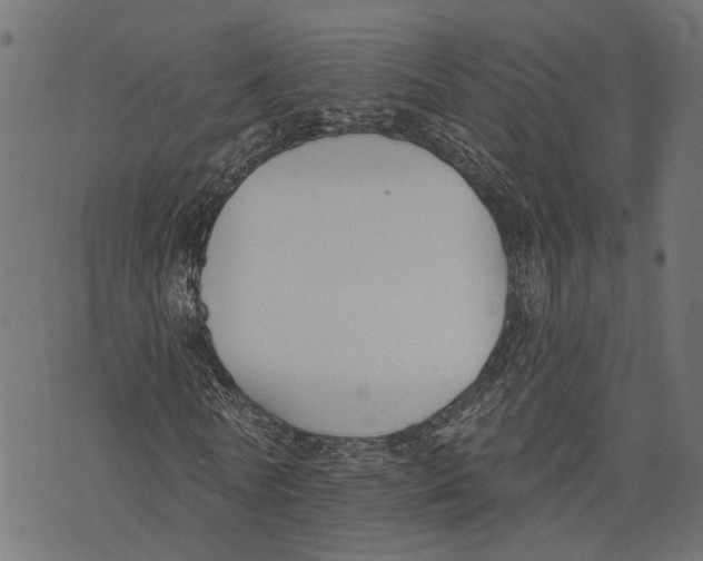 X0000073950770200609181400