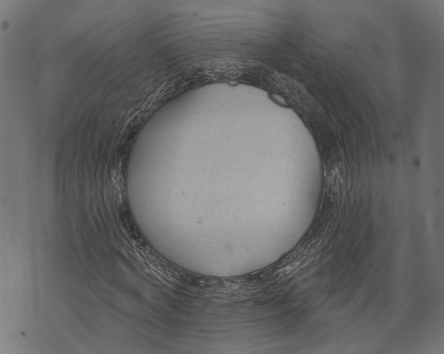 X0000073950772200609181400