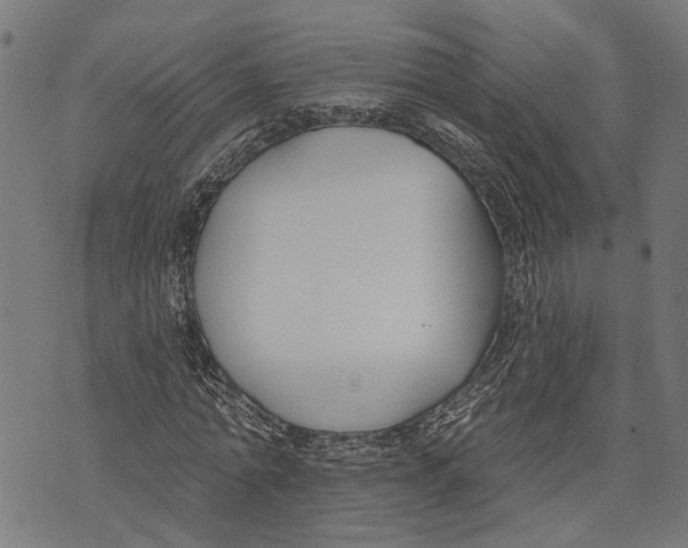 X0000073950774200609181400