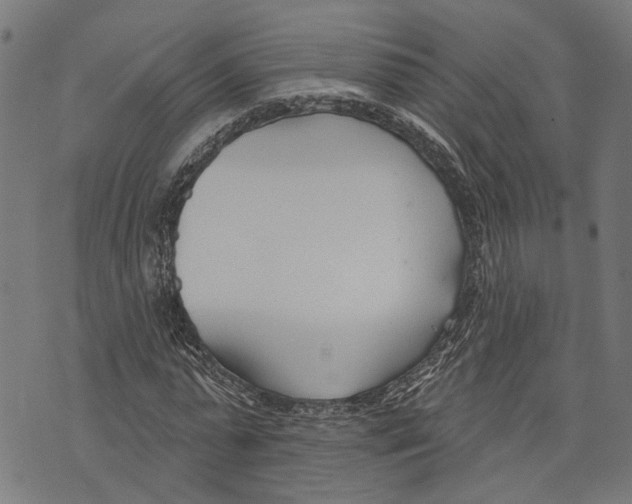 X0000073950775200609181400