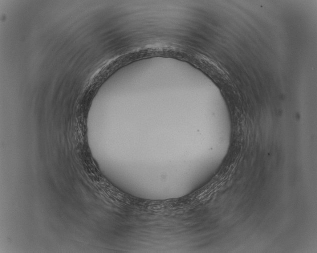 X0000073950776200609181400