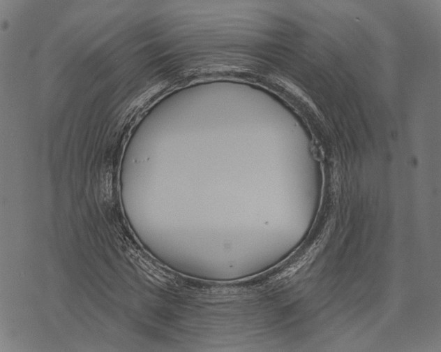 X0000073950777200609181400