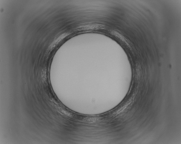 X0000073950778200609181400