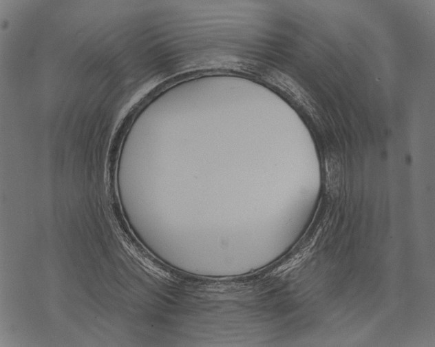 X0000073950780200609181400