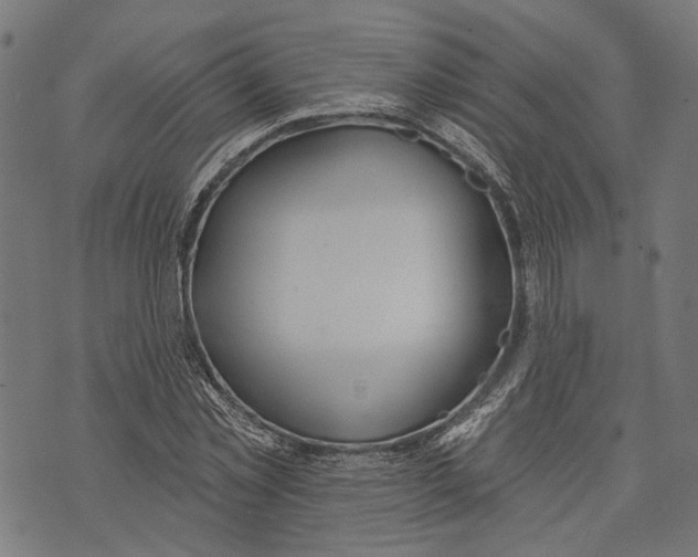 X0000073950781200609181400