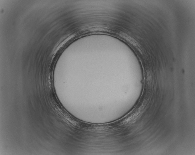 X0000073950782200609181400