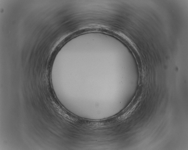 X0000073950783200609181400