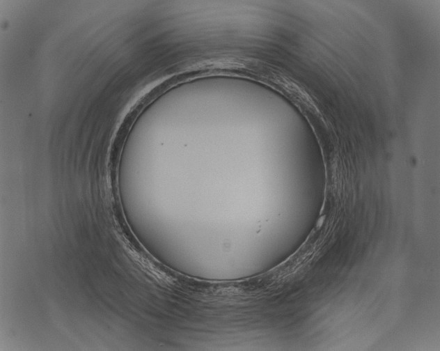 X0000073950784200609181400