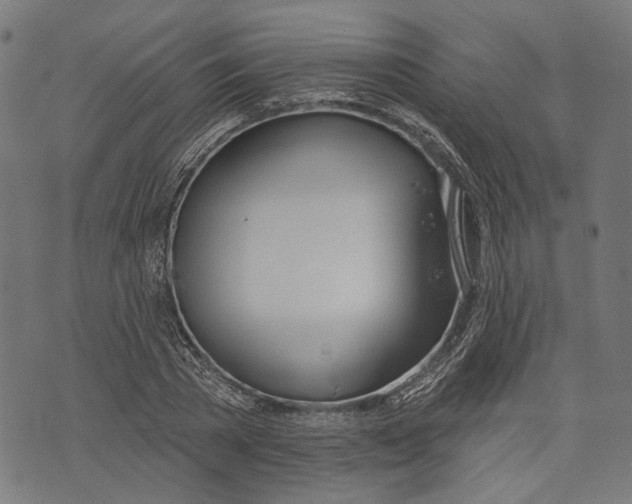 X0000073950785200609181400