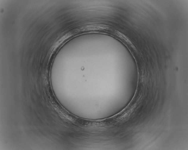 X0000073950786200609181400